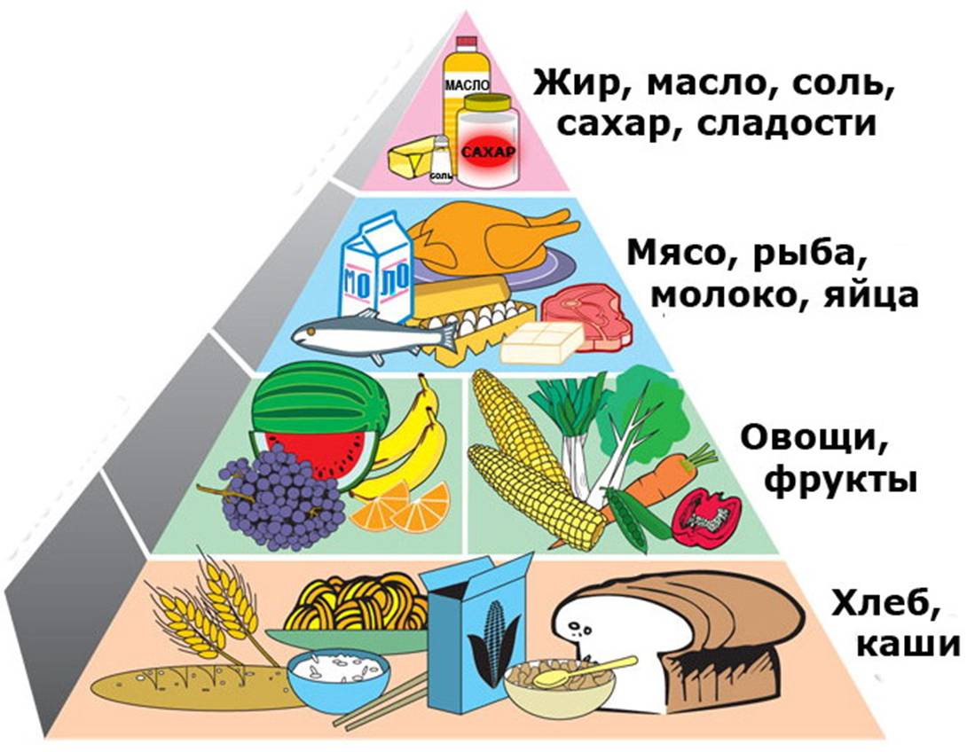 Лечебное питание